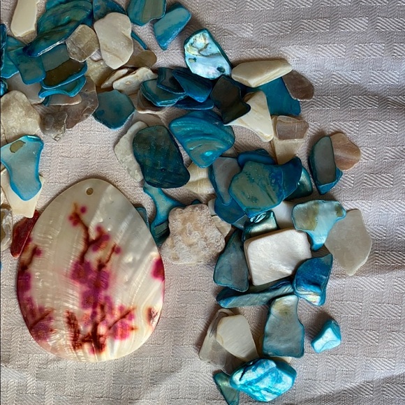 Shells - Picture 3 of 3